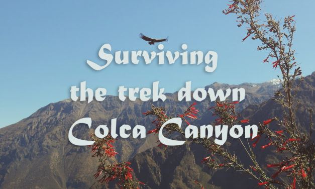 How I survived the Colca Canyon Trek in Arequipa